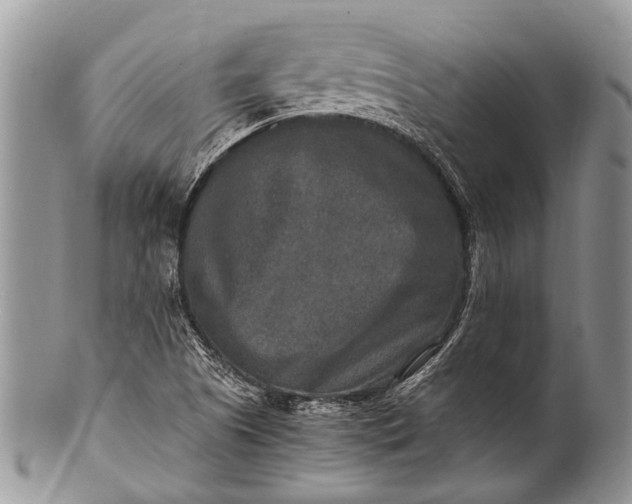 X0000100401505200806201724
