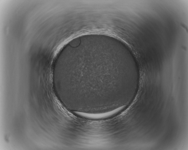 X0000100401506200806201724