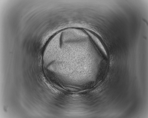 X0000100401507200806201725