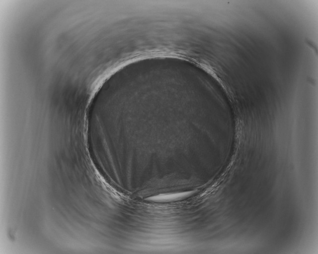 X0000100401508200806201725