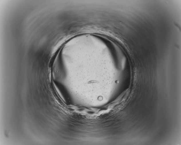 X0000100401509200806201725