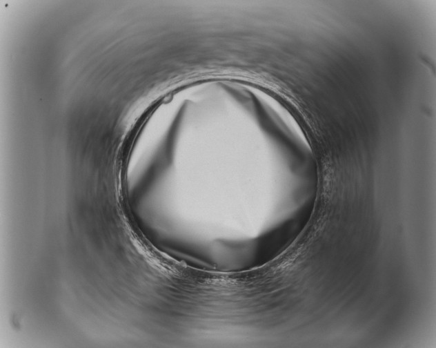 X0000100401511200806201725