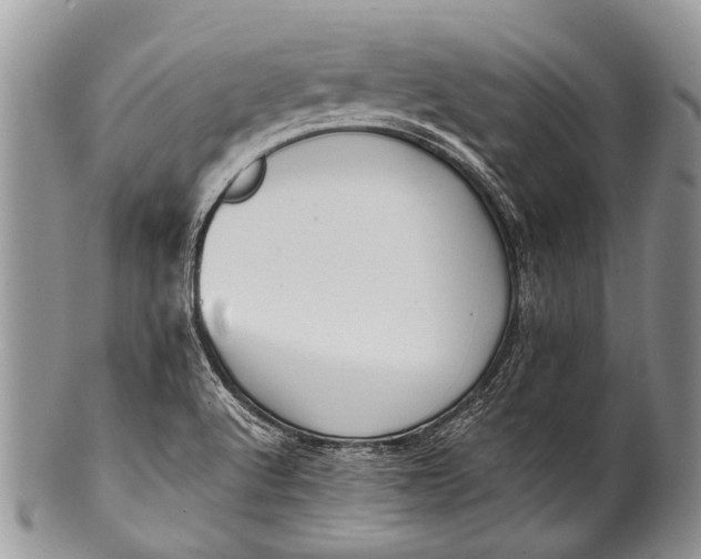 X0000100401512200806201725