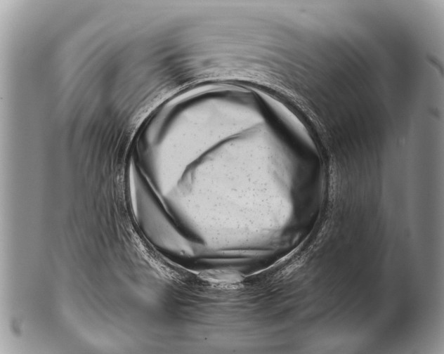 X0000100401513200806201725