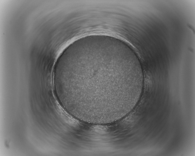 X0000100401514200806201725