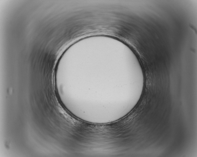 X0000100401516200806201725