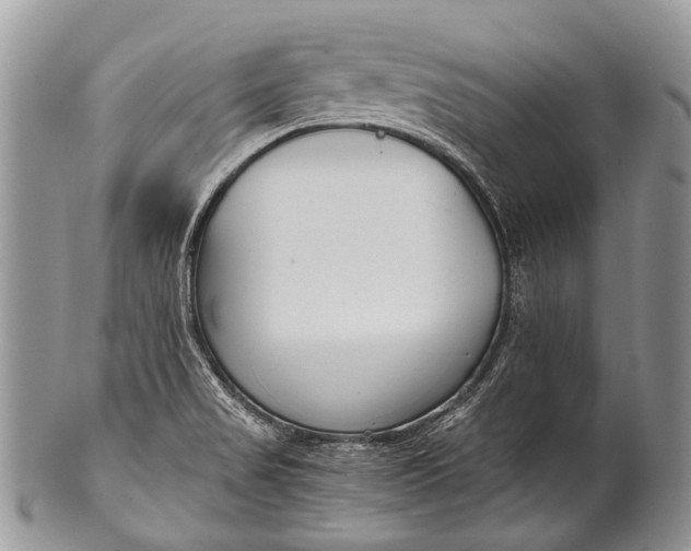 X0000100401517200806201725
