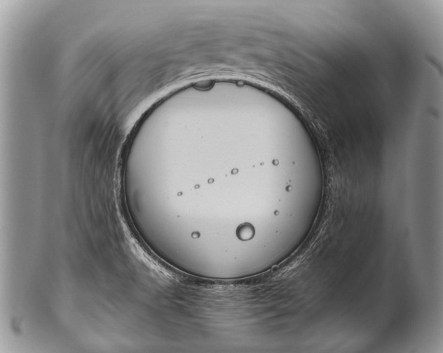 X0000100401518200806201725