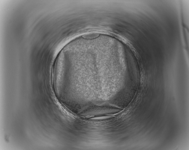 X0000100401520200806201725