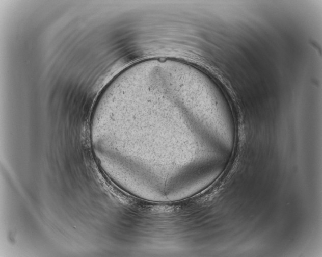 X0000100401521200806201725