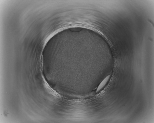 X0000100401522200806201725