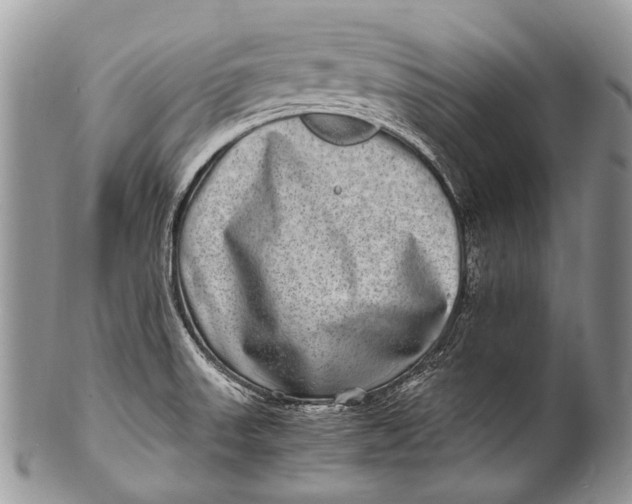 X0000100401523200806201725