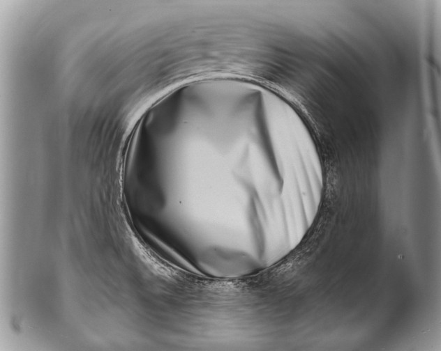 X0000100401524200806201725