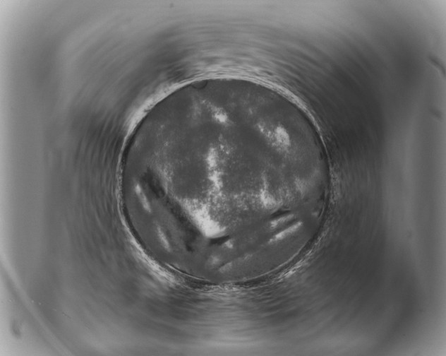 X0000100401525200806201725