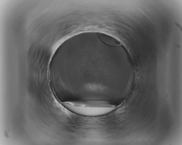 X0000100401527200806201725