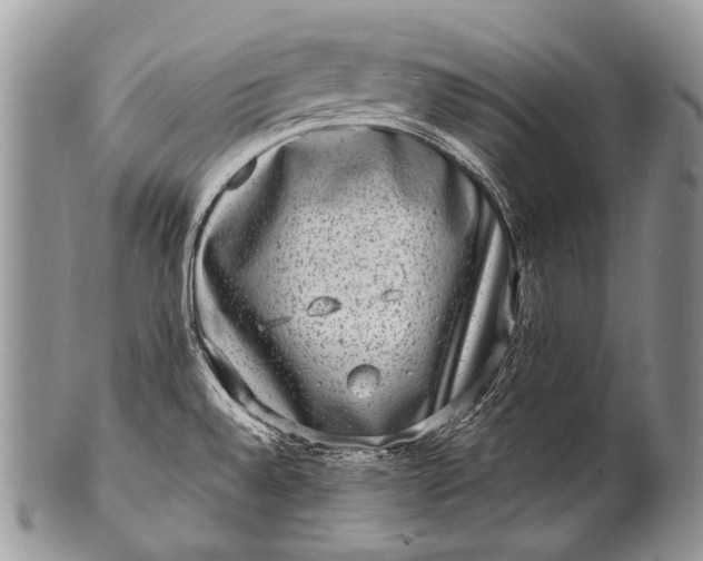 X0000100401528200806201725