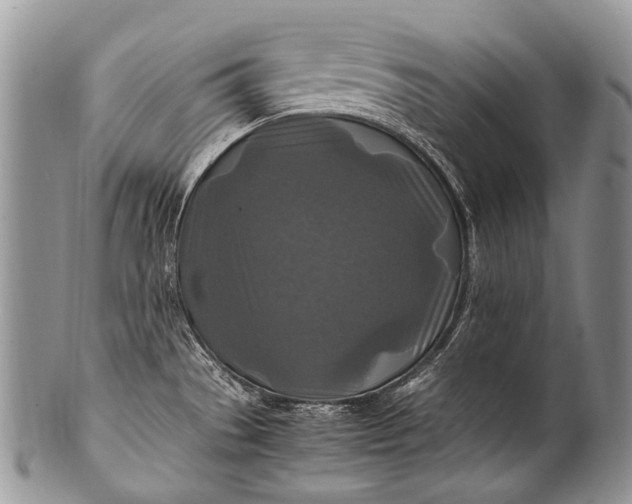X0000100401529200806201725