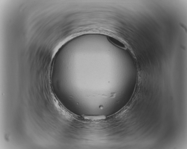 X0000100401530200806201725