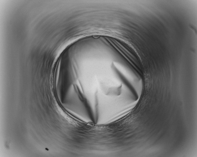 X0000100401531200806201725