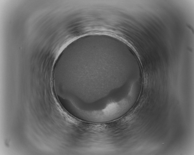 X0000100401533200806201725