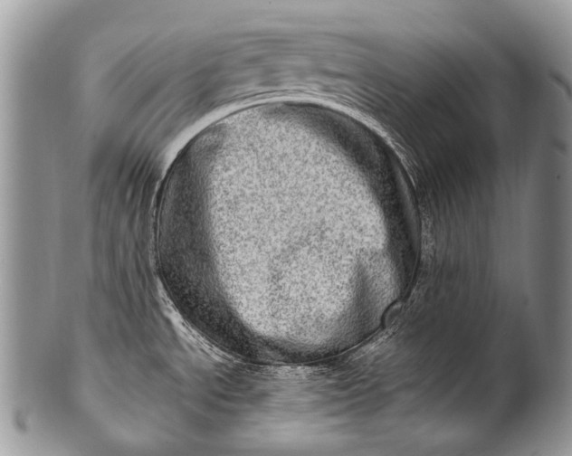 X0000100401534200806201725