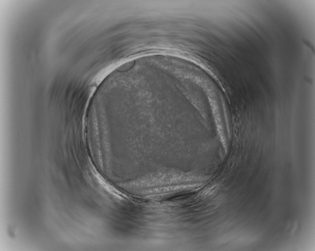 X0000100401535200806201725