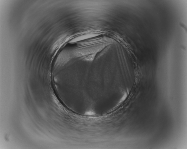 X0000100400002200806271431