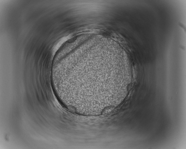 X0000100400003200806271431
