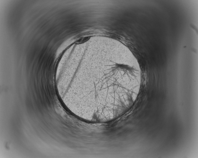 X0000100400004200806271431