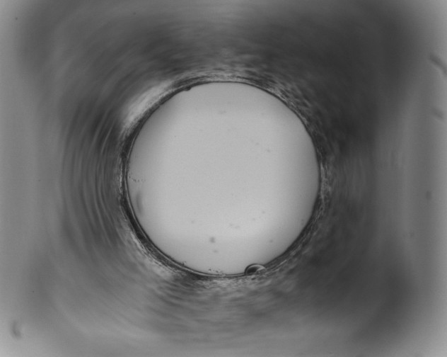 X0000100400005200806271431