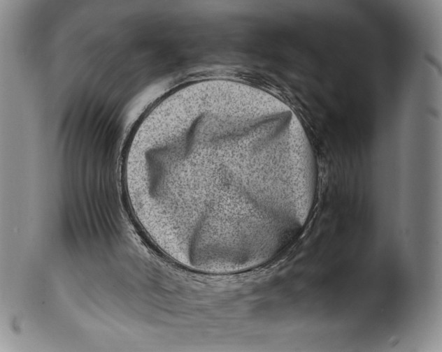 X0000100400006200806271431