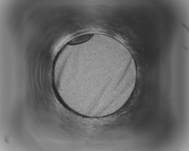 X0000100400007200806271431