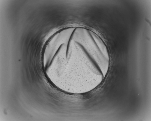 X0000100400008200806271431