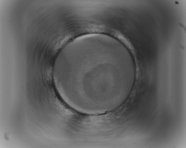 X0000100400009200806271431