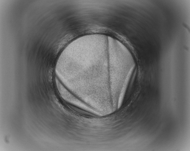 X0000100400010200806271431