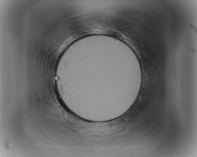 X0000100400011200806271431