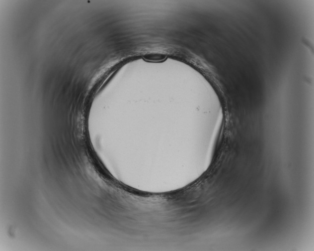 X0000100400012200806271431