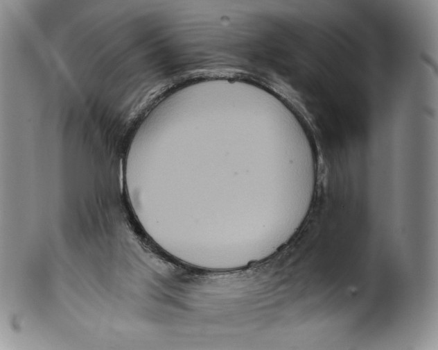 X0000100400013200806271431