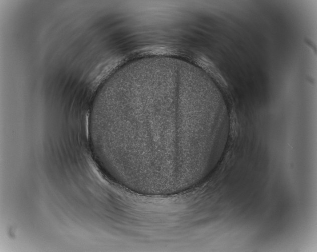 X0000100400014200806271431