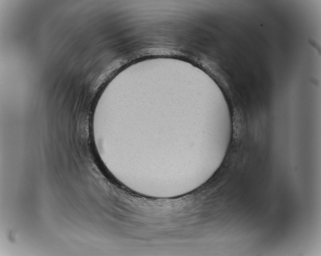 X0000100400015200806271431