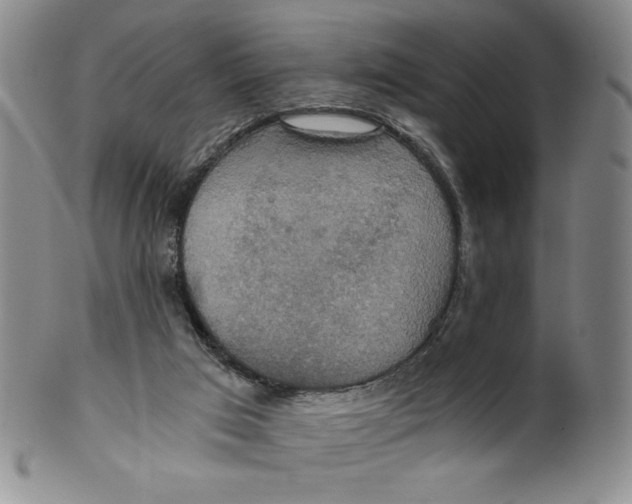 X0000100400017200806271431