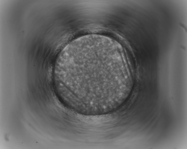 X0000100400018200806271431