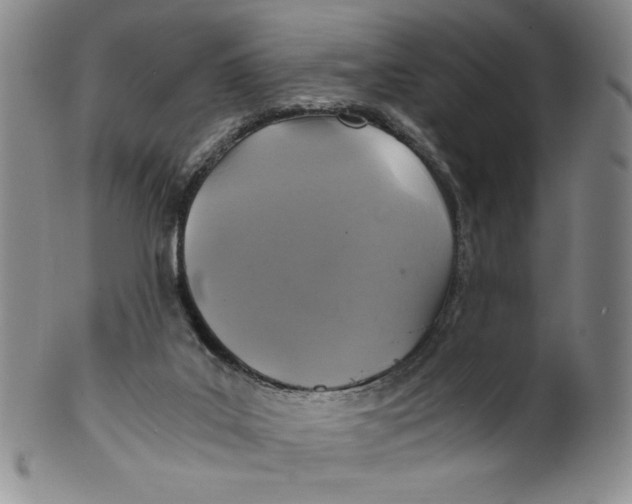 X0000100400019200806271431