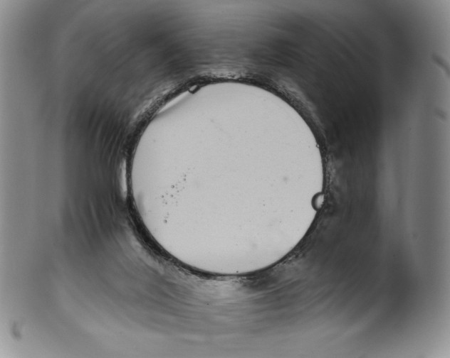 X0000100400020200806271431