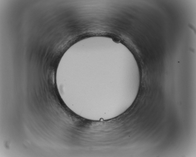 X0000100400021200806271431
