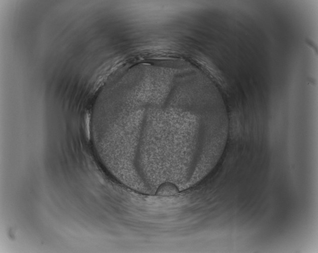 X0000100400022200806271431