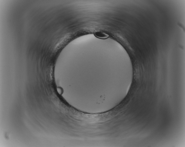 X0000100400023200806271431