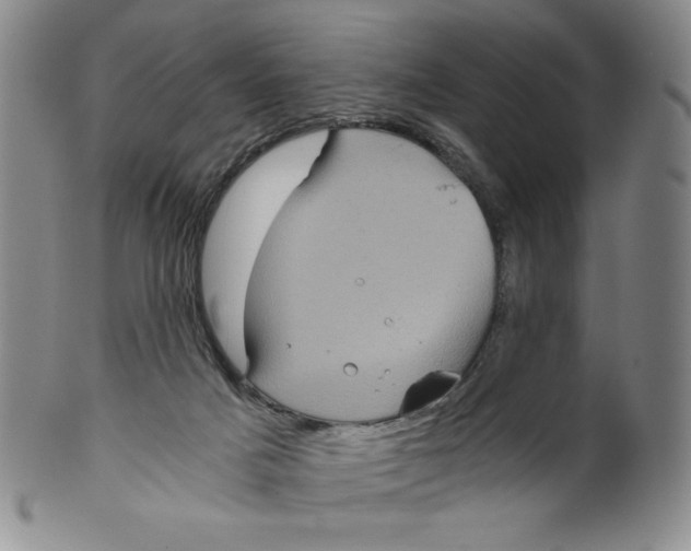 X0000100400025200806271431