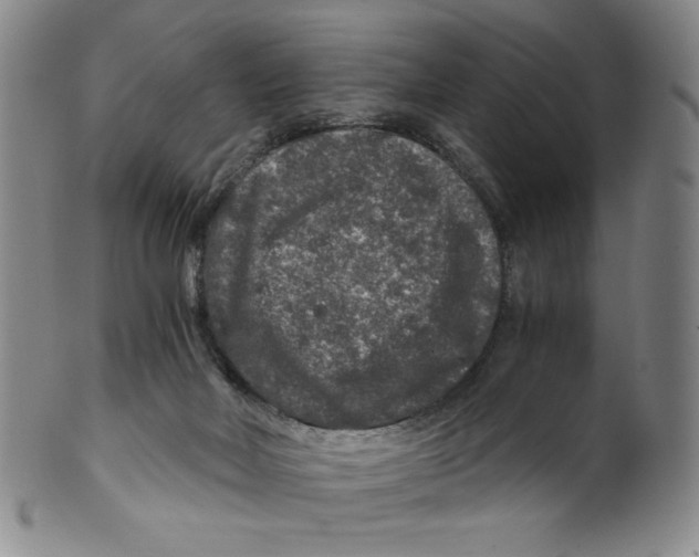 X0000100400026200806271431