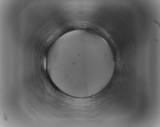 X0000100400027200806271431
